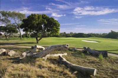 Olivas golf course