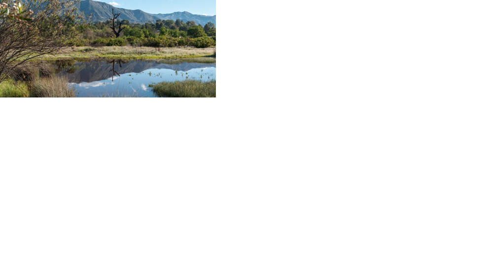 Opinion: Celebrating Ojai Valley Land Conservancy - Vimarsana News