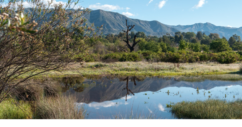 Opinion Celebrating Ojai Valley Land Conservancy Guest Essays