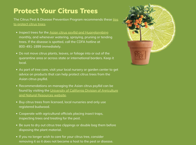 Citrus quarantine in valley is ‘only a matter of time’ Environment