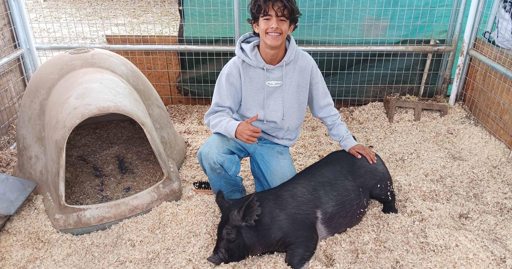 FFA little piggies find new home at Meiners Oaks school - Vimarsana News