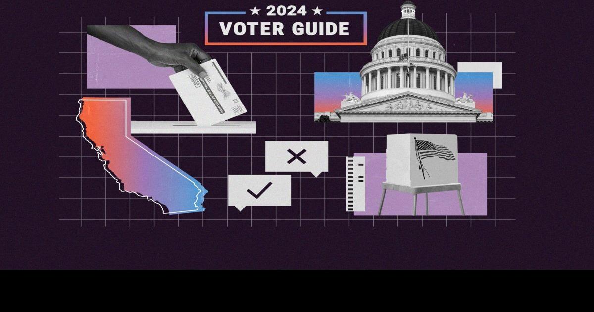Here’s your guide to voting in the 2024 CA election Elections