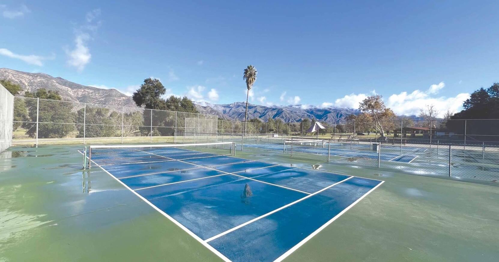 Pickleball briefs | Soule Park and ballot initiative - Vimarsana News