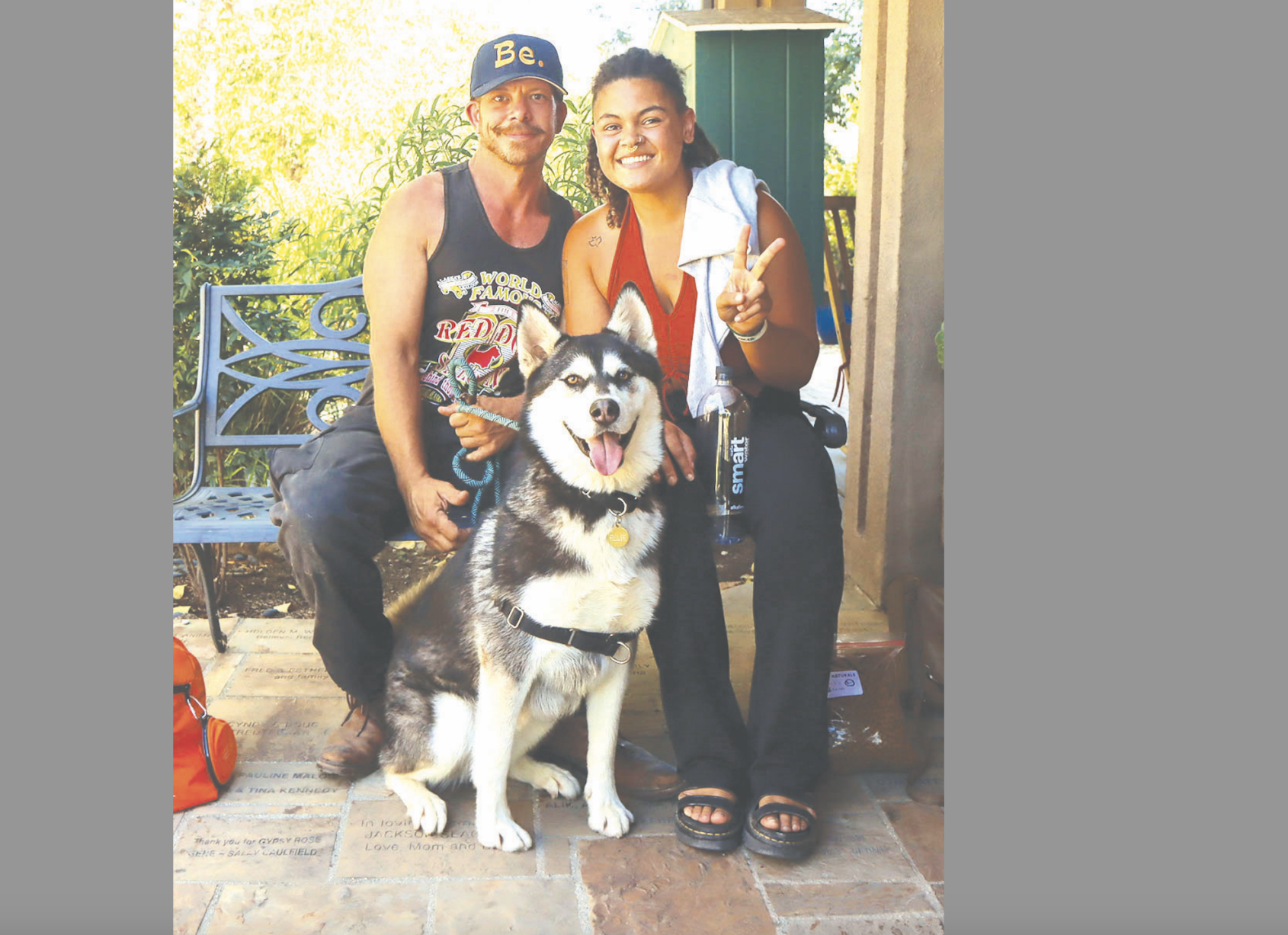 All pet adoptions at Ojai animal shelter free on Friday, Aug. 18 News