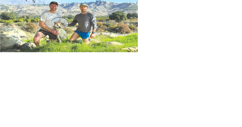 Ojai trail runners save dog from mountain lion's jaws | News - Vimarsana News