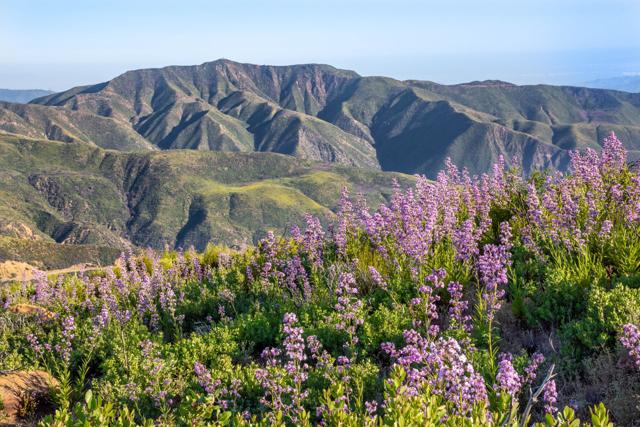 Feds seek to remove restrictions to road building Feds seek to remove restrictions to road building in Los Padres National Forestin Los Padres National Forest