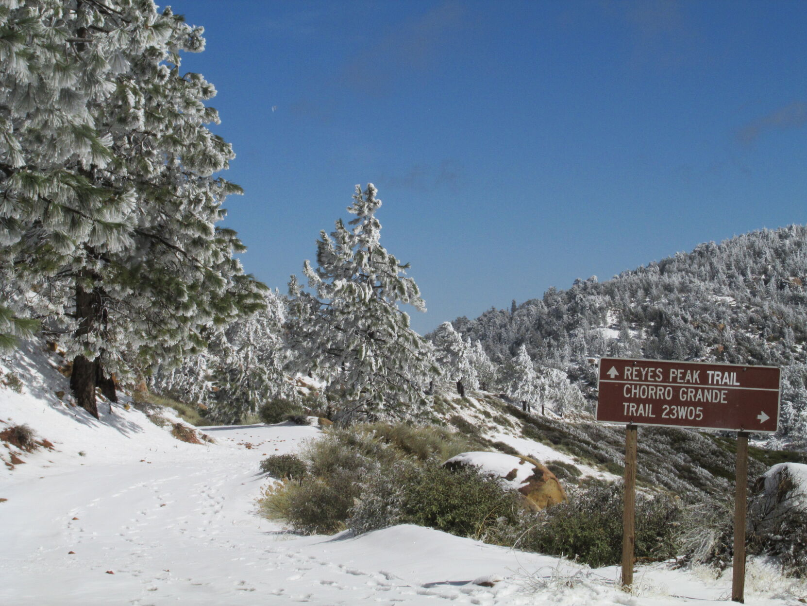 Court rejects appeal to stop thinning of Pine Mountain forest