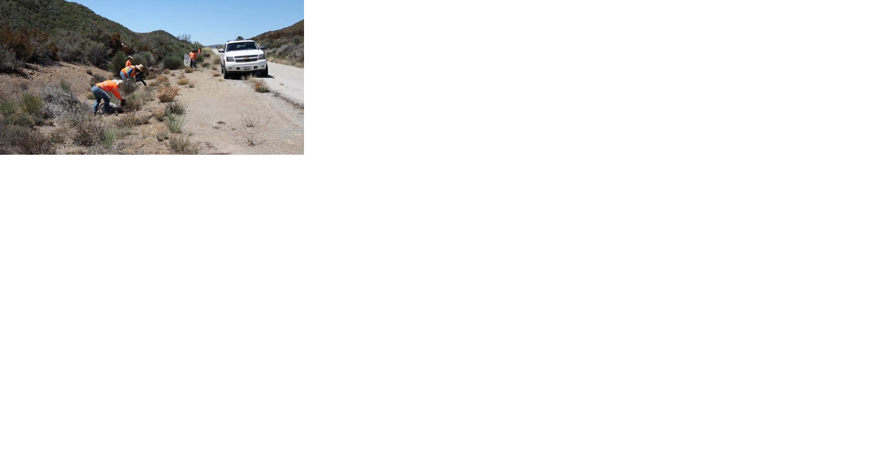 Caltrans planting native seeds on 33 to stop erosion - Vimarsana News