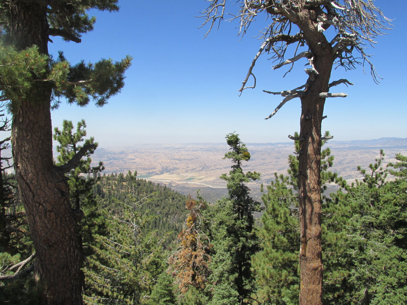 Pine Mountain fire fuel project legal appeal before federal 9th Circuit court Oct. 21