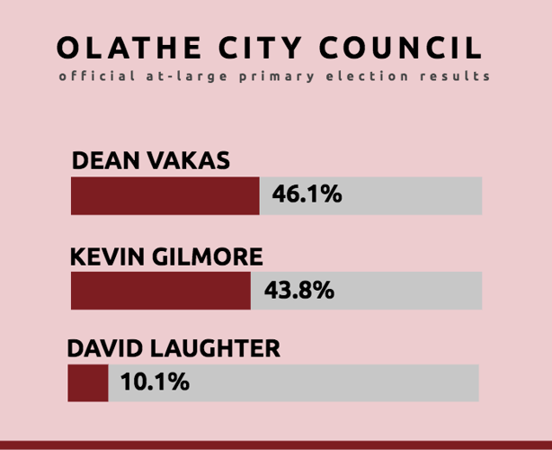 The official primary election results are in — here’s who is moving on