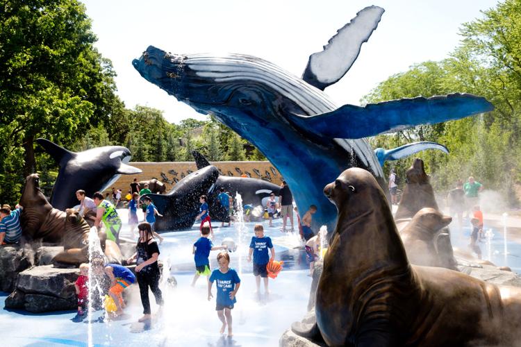 Alaskan Adventure splash pad opens at Omaha zoo