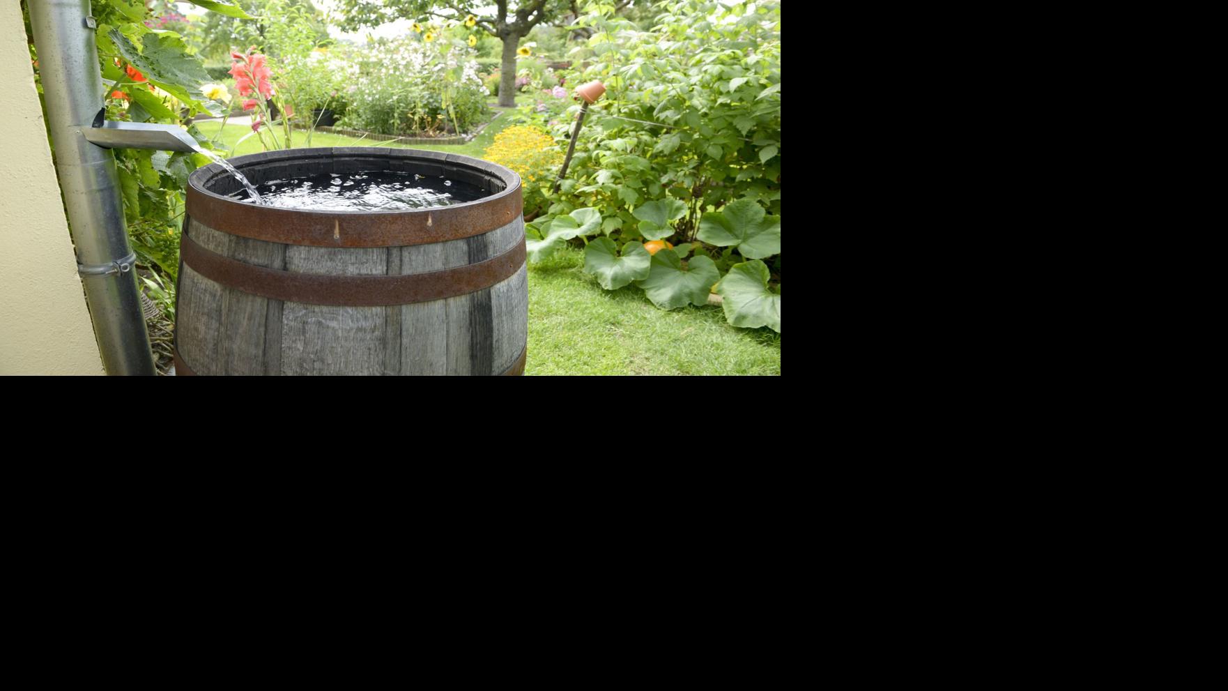 Rain Gain: Why a rain barrel is worth it – and how to use one properly ...
