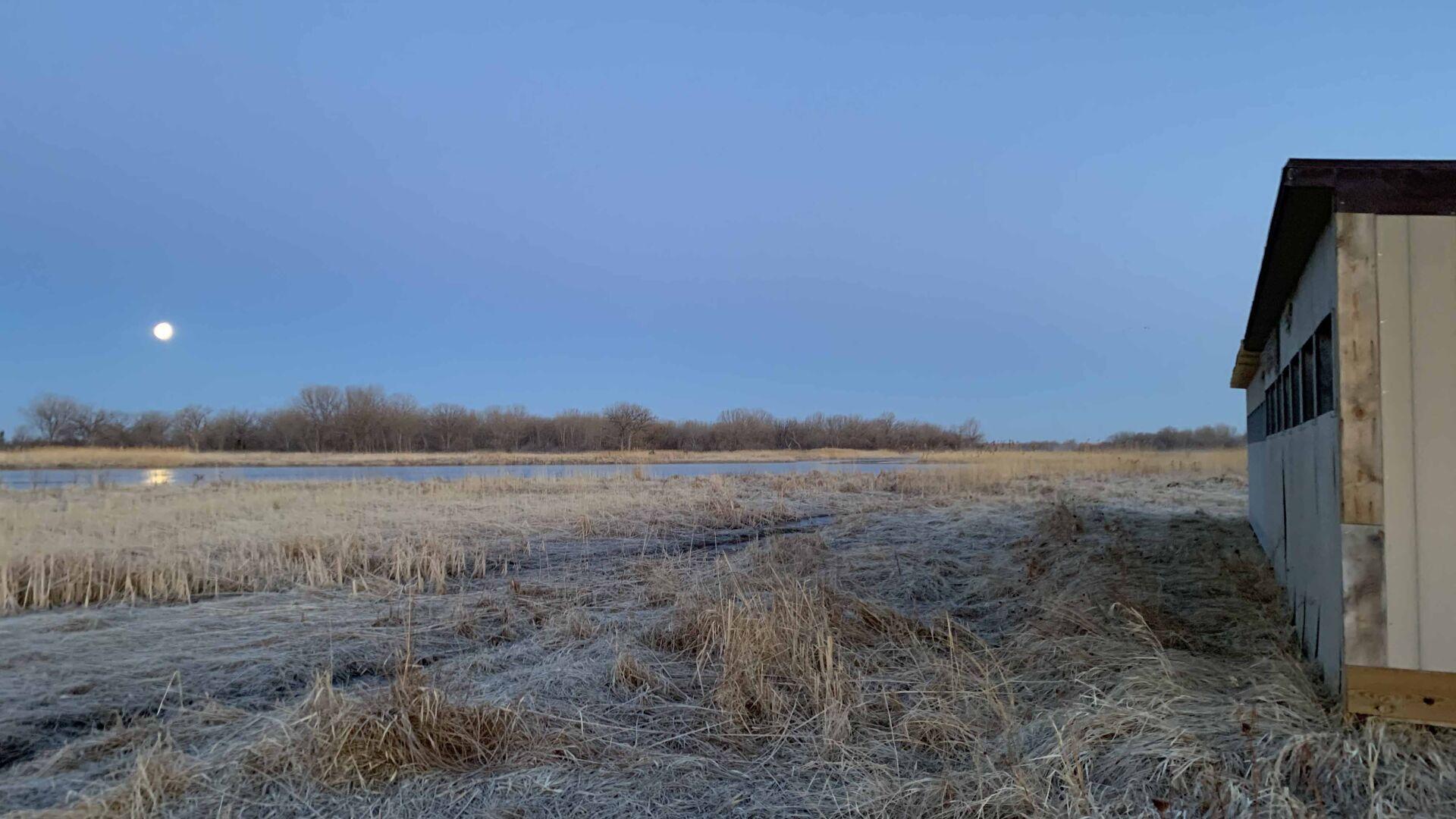 38,000 Sandhill Cranes Flock to Nebraska in a Record-Breaking Start to  Spring Migration, Smart News