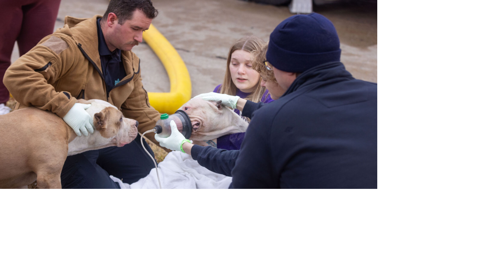 Bellevue woman sustains injury rescuing dog from house fire