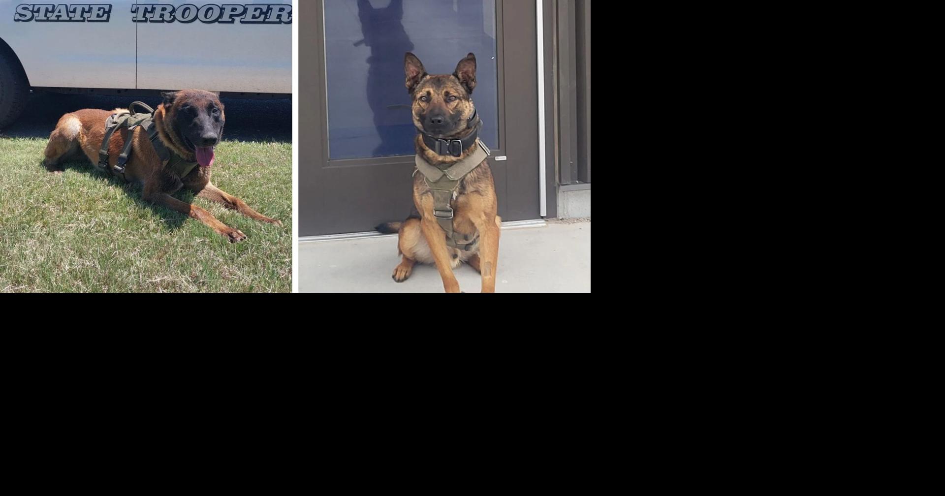 Nebraska State Patrol adds K-9 partners Phoenix and RJ for road patrol duty