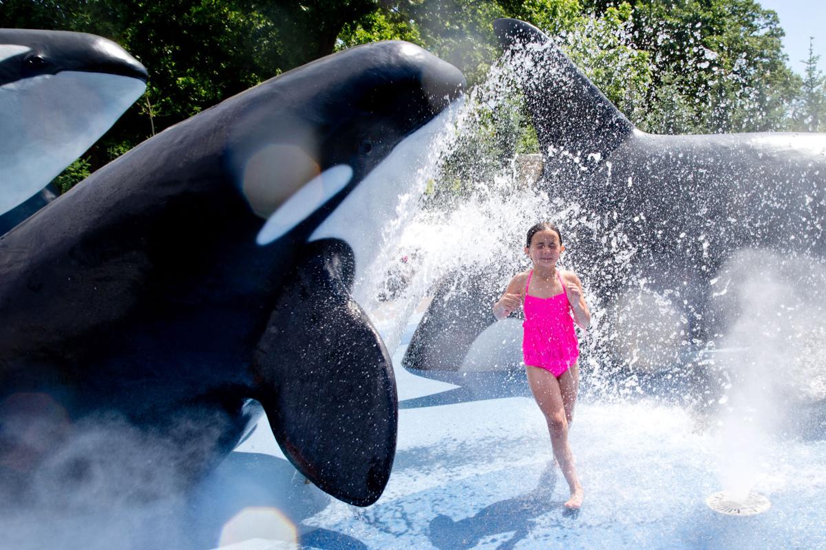 Alaskan Adventure Splash Pad Opens At Omaha Zoo Lifestyles