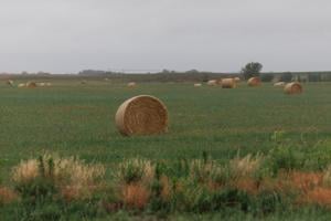 062526-owh-new-ag-nf-04