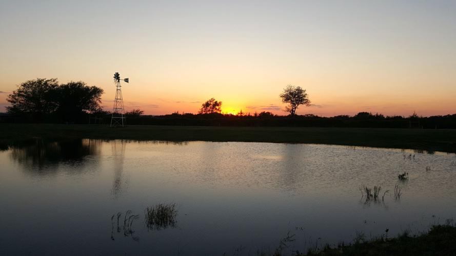 pond 1.jpg