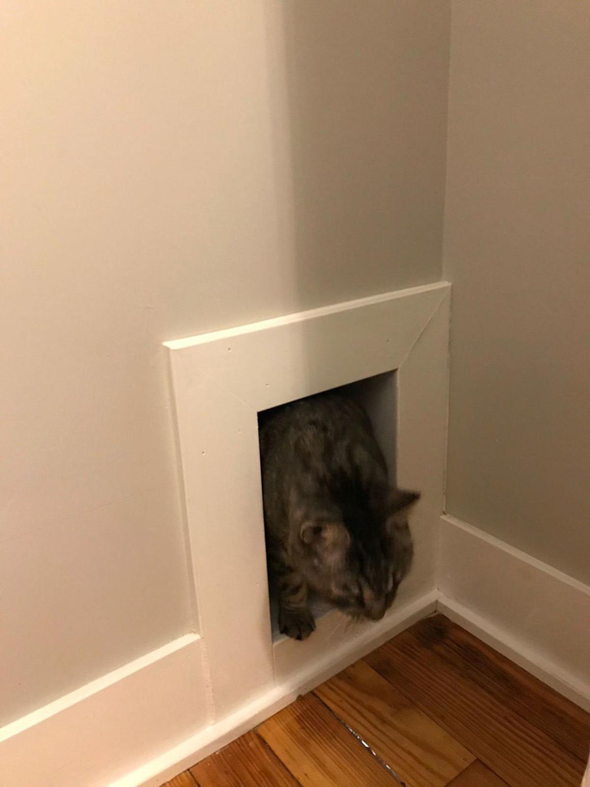 Keeping Dogs And Cats Happy Together Meant Making A Secret Passage In This Couple S Home Inspired Living Omaha Com