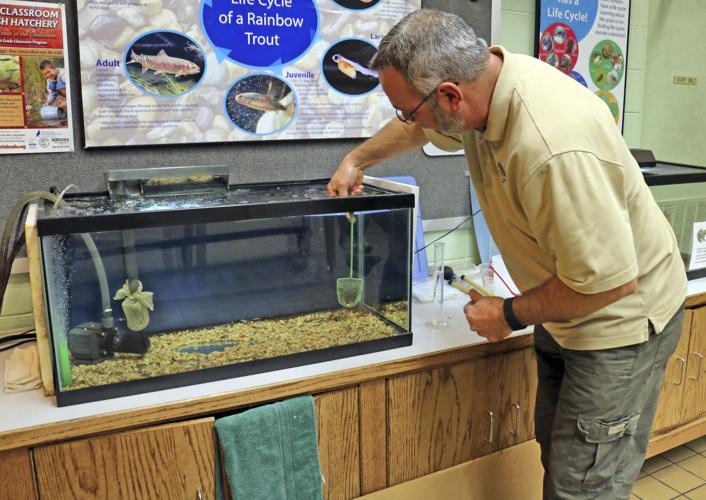 Fish tales: Students get learning experience at aquarium's Trout