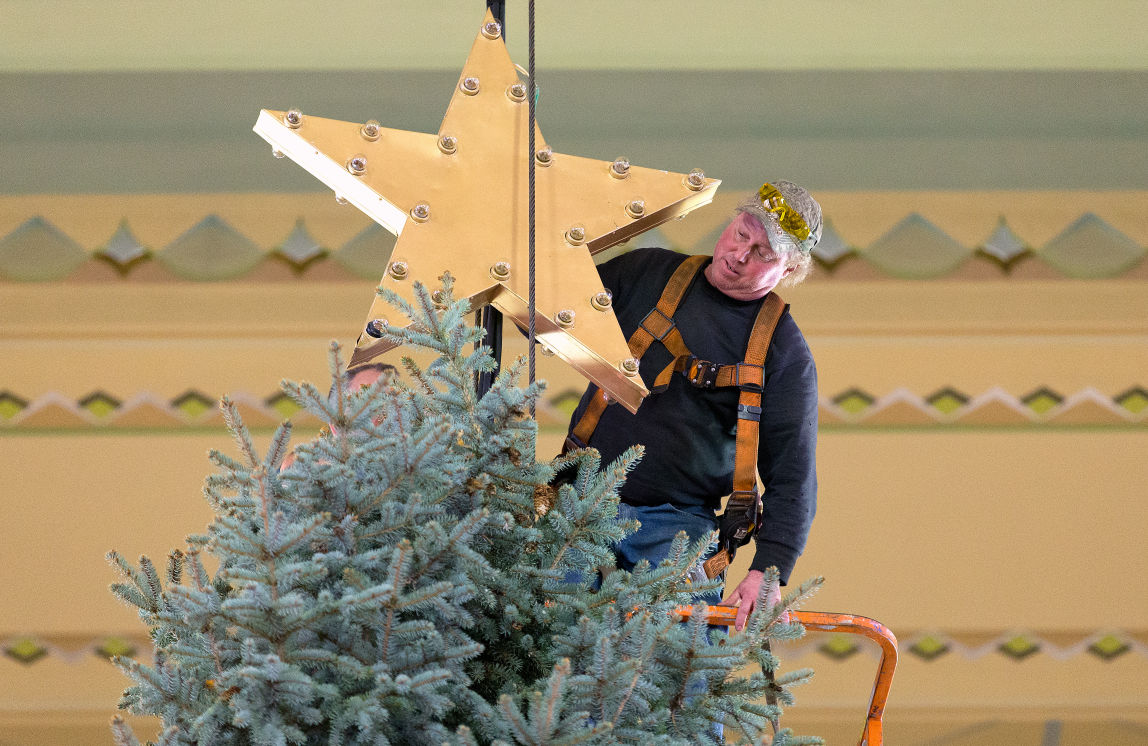 This year's Durham Christmas tree, a 40foot Colorado blue spruce, was