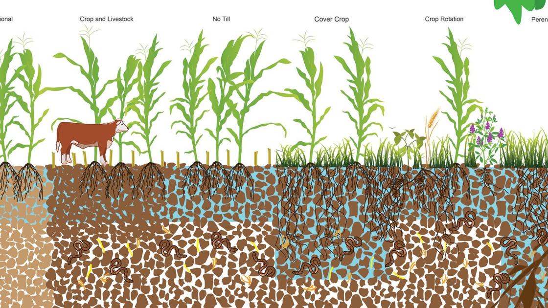 Let this soak in: Water retention in soil is crucial, and UNL researcher shares farm practices that help - Omaha World-Herald