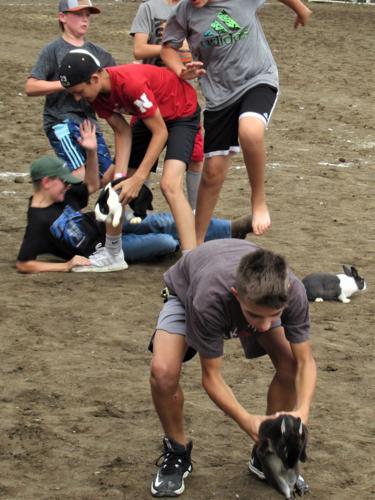 20210811_pt_shr_scf4animalscrambleatb