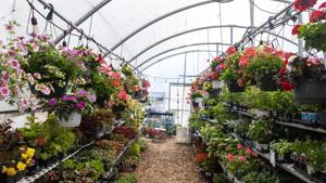 050826-owh-new-gardenseason-cm-06 (copy)