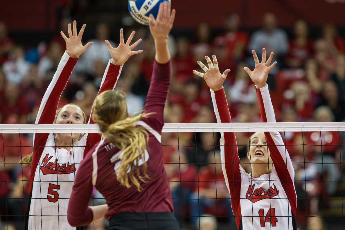 Nebraska volleyball shakes off firstset defeat, dispatches Harvard Husker News