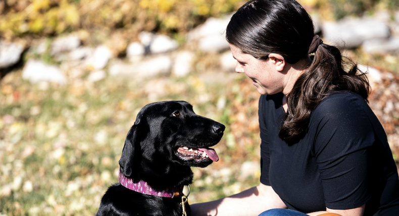Choosing a Reputable Animal Rescue - Union Lake Veterinary Hospital