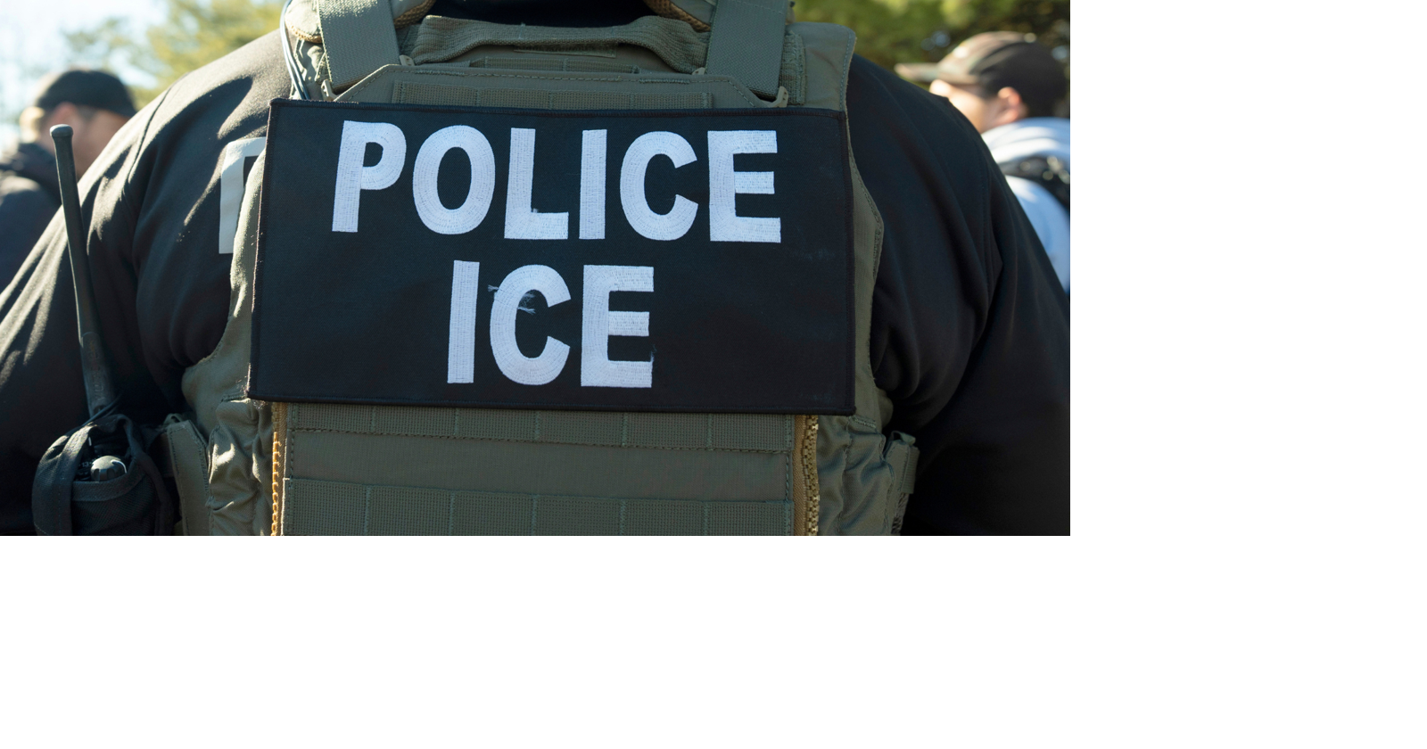 Bellevue man charged with attempted murder after putting ICE agent in ...