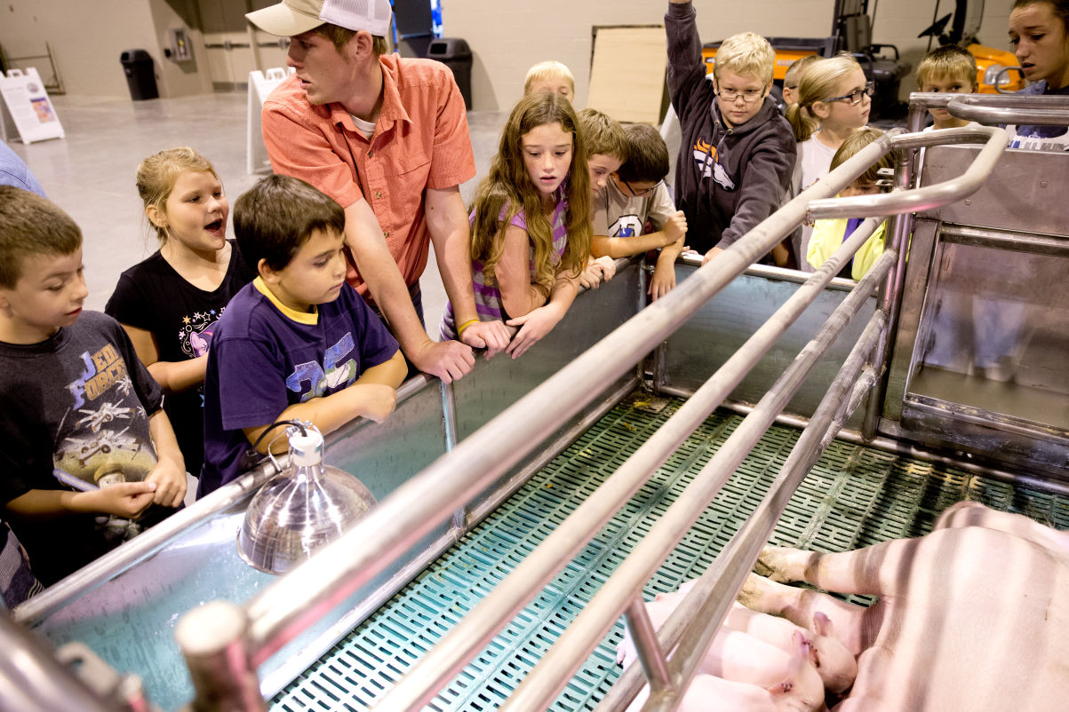 Aksarben Stock Show gives students a glimpse and a whiff of