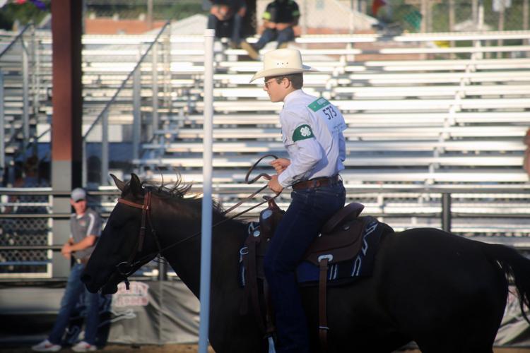 080724-sni-news-4h-horse-12.jpg