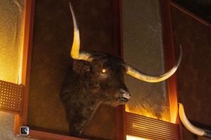 050126-owh-new-berkjump4