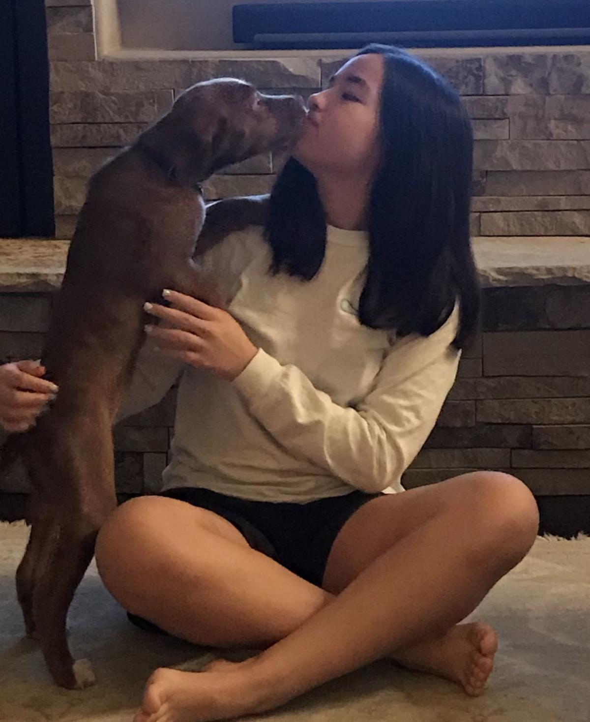 How To Help In A Coronavirus Shutdown People Encouraged To Adopt Foster Animals Latest Headlines Omaha Com