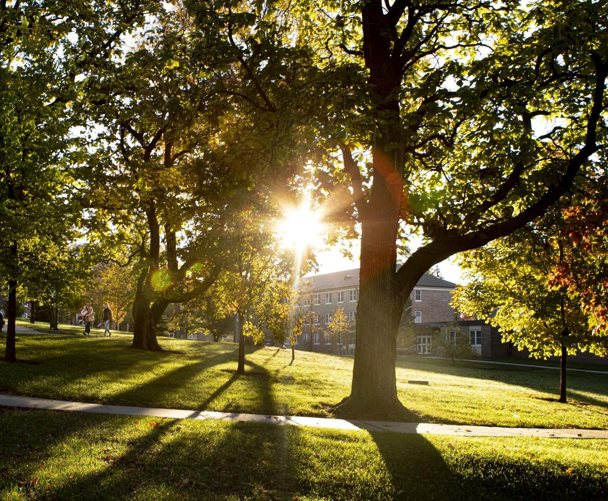 waynestatecollegecampus