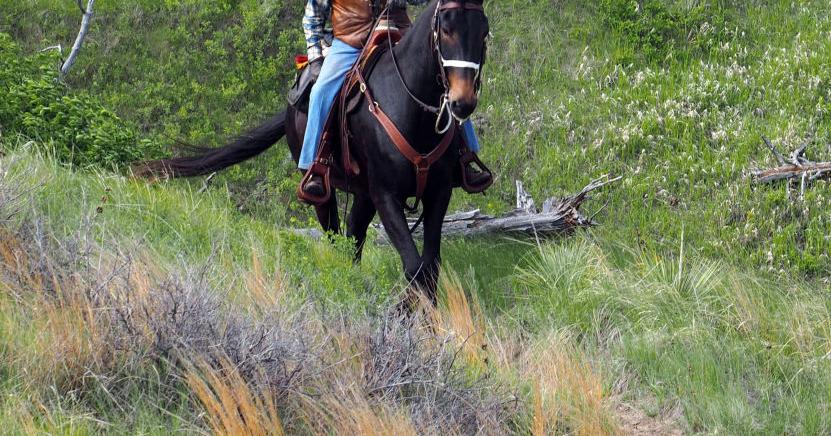 'I’m the luckiest guy in the world': Man rides mules into Pine Ridge to ...