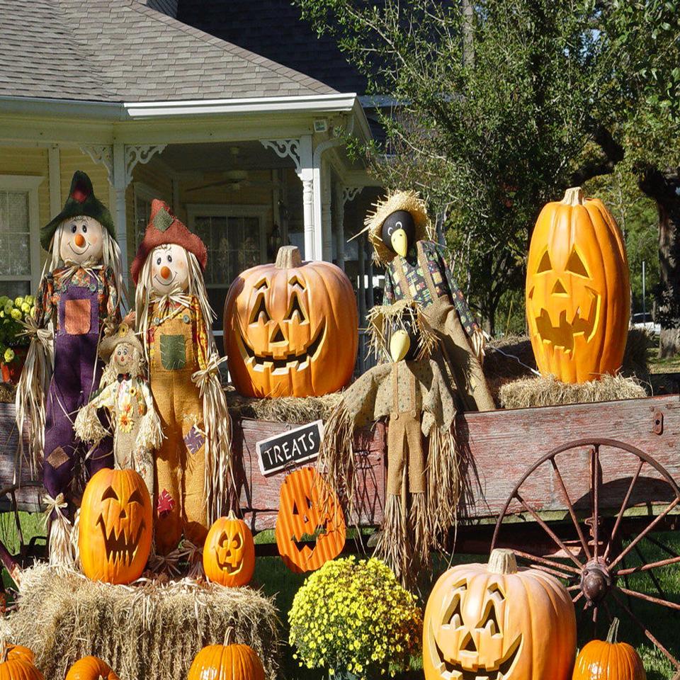 Fall Fun Halloween Boutiques Bake Sales Festivals Harvest