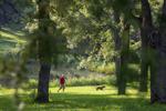 071923-owh-new-wildart-kc-0001.JPG