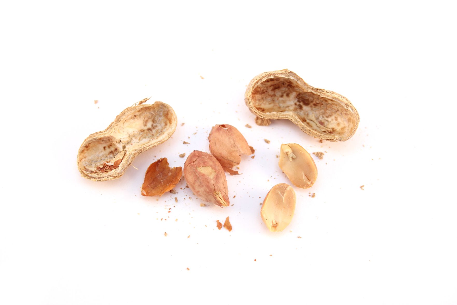 exposing baby to peanuts
