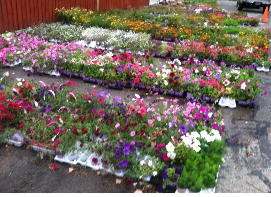 Benson Plant Rescue wins award at Neighborhoods USA conference