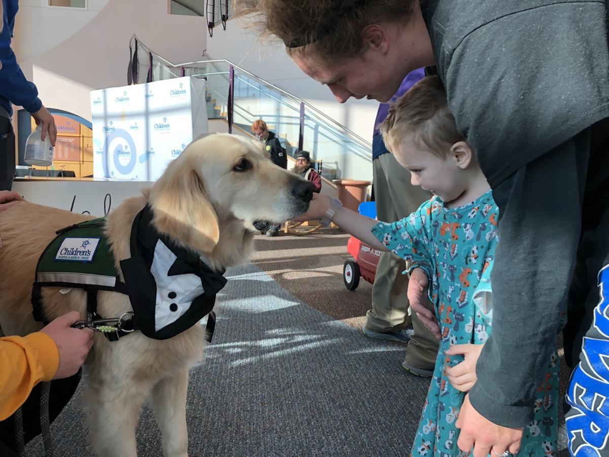 Omaha Childrens Hospital Welcomes Second Facility Dog To