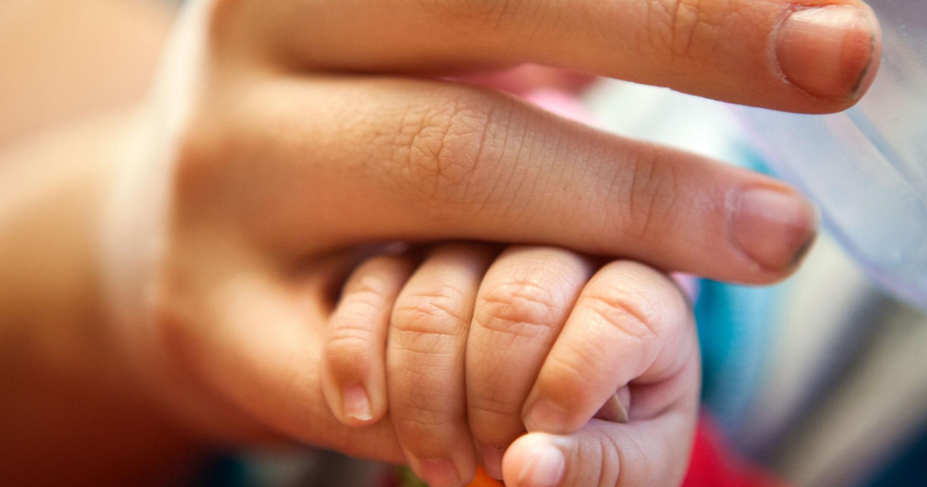 Cleveland Evans: Sophia, Olivia, Liam and Noah popular baby names in 2023 - Vimarsana News