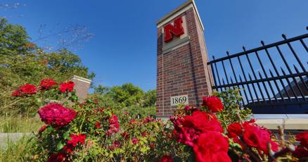 UNL proposes 108 million in cuts vacant positions to be eliminated UNL proposes 108 million in cuts vacant positions to be eliminated