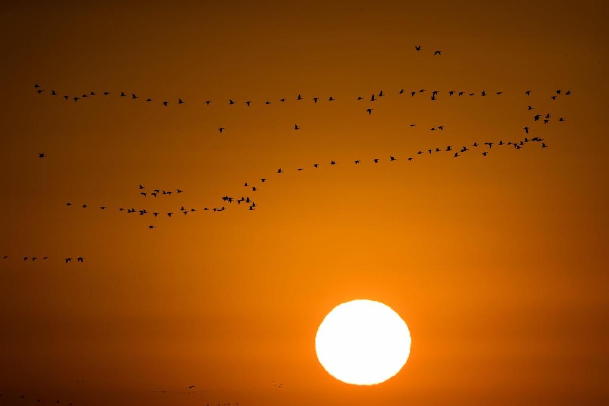 20180419_new_art_061