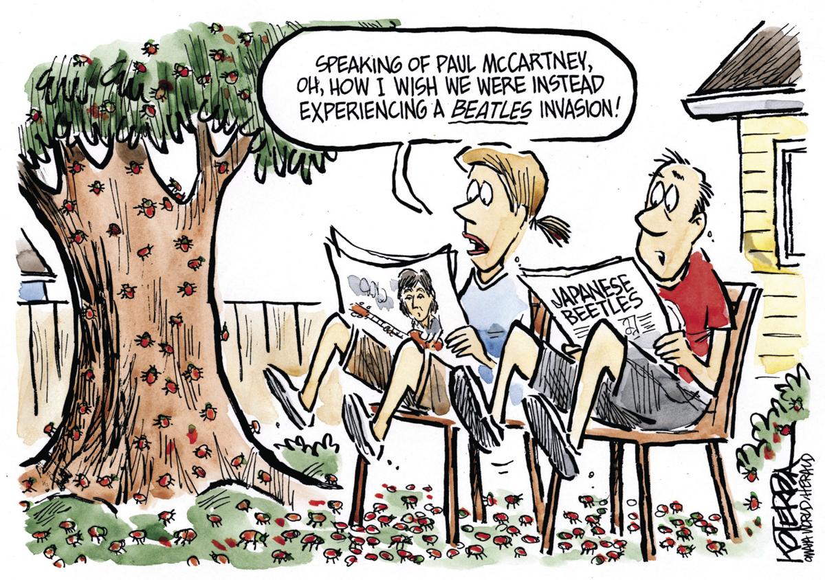 Jeff Koterba's July 23 cartoon: The wrong kind of beetles