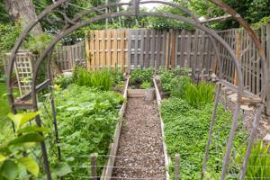 062526-owh-new-gardenwalk-jc-2.JPG