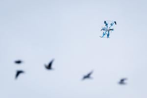 073026-owh-new-amazon-jc-6.JPG