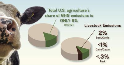 Cornstalk_sustainability_social