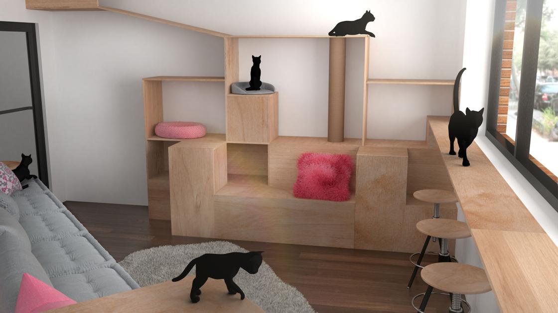 At Omaha Cat Cafe You Could Drink Coffee And Cuddle Felines Who